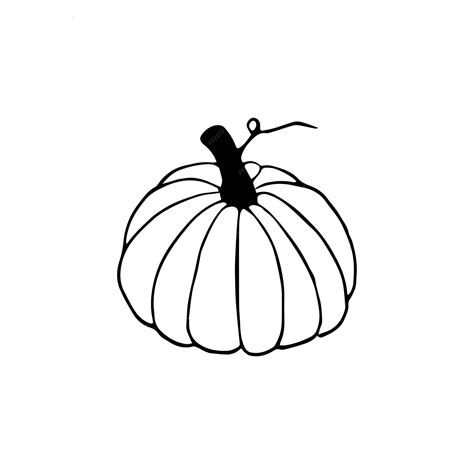 Premium Vector | Hand drawn doodle pumpkin clipart vector black and ...