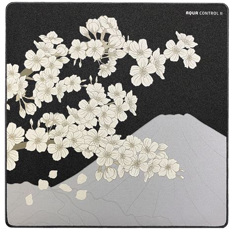 Buy X-Raypad Aqua Control 2 Gaming Mouse Pad, Ultra-High Precision ...