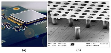Software Instruments 的图像结果