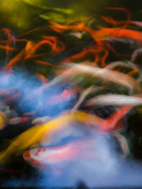 The 4 Stages of Enlightenment in Buddhism | Simplified