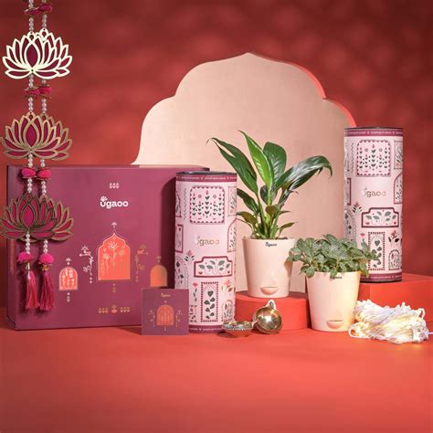 Buy Abundance & Joy Premium Diwali gift hampers for friends & family ...