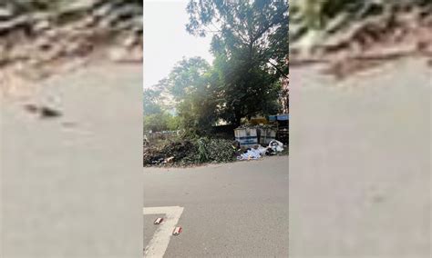 Residents urge the civic body to clear piled up garbage in the city