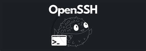 OpenSSH App 的图像结果
