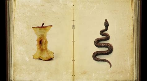 Image result for Sin Explained