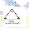Draw the following triangles:(i) Scalene acute angled triangle.(ii ...