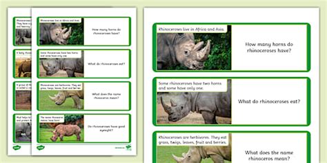 KS1 Rhino Facts Loop Cards Game - KS1 - Twinkl