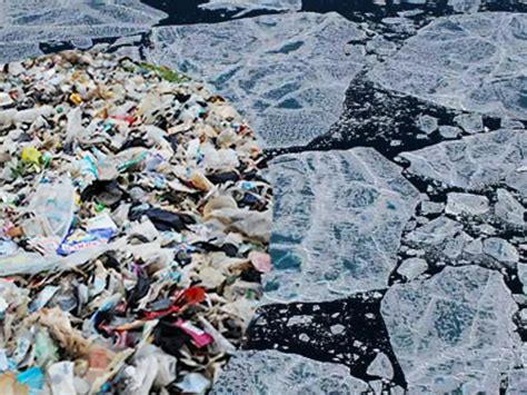 Researchers Are Shocked After Finding Loads Of Microplastics In Arctic ...