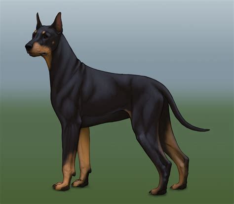 Image result for Drawing Shadows Tutorial Digital Art