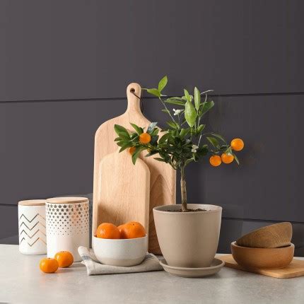 50-060 DIM GREY || Safedecor Pvt. Ltd.