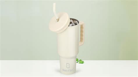 Best Stanley Cup alternatives available on Amazon for every need ...