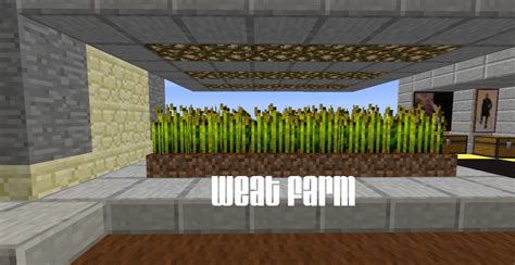 Exp Farm 1.17 Java 的图像结果