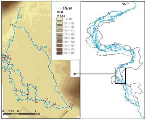 Model-Based Analysis of Macrophytes Role in the Flow Distribution in ...