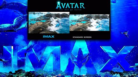 IMAX vs. Standard Screening: A Must-Watch Comparison - Y.M.Cinema Magazine