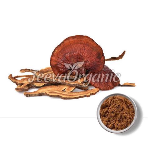 Reishi Mushroom Extract Powder 90% Polysaccharide