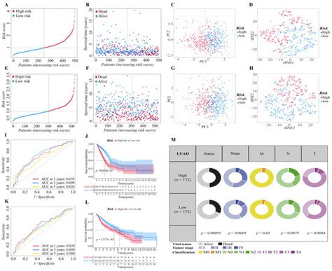Cells | Special Issue : Cell Metabolism and Oxidative Stress in the ...