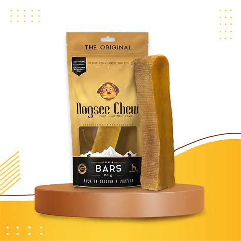 Why is Walking Important for your Dog? | Dogsee