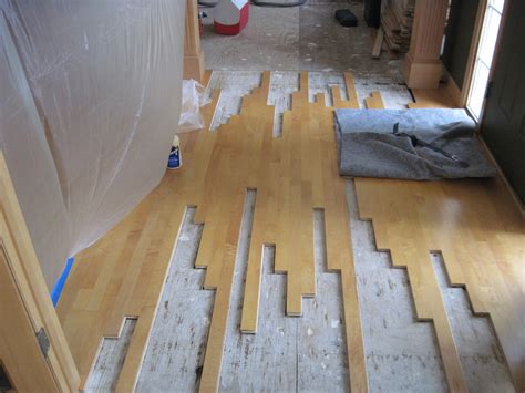 Restoring Old Hardwood Floors Under Carpet - Home Alqu