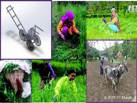 Indian Institute of Technology Mandi