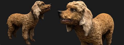 Image result for Cockapoo Terrier Mix