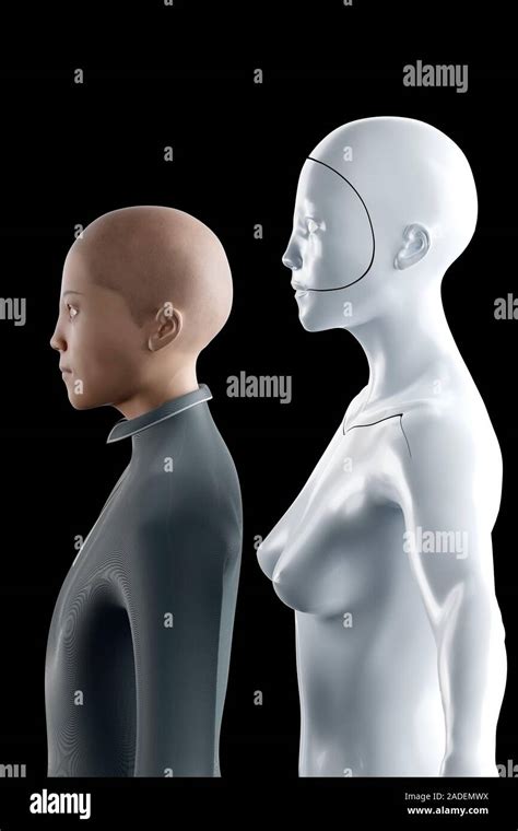 Image result for Android Robots Humanoid