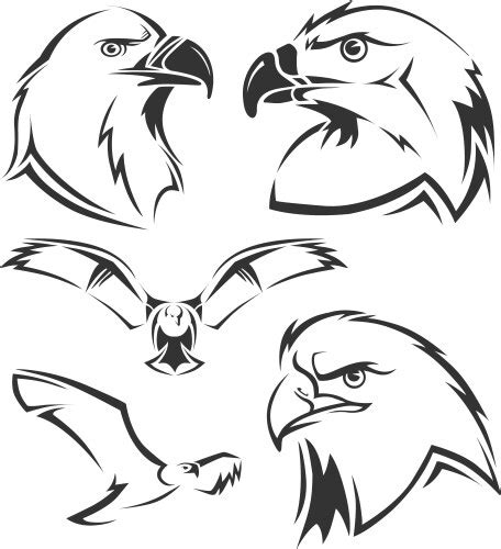 Hawk Logos Vector Images (over 25,000)