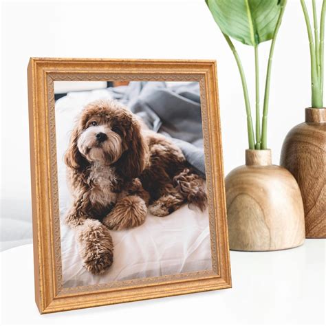 Frame 的图像结果