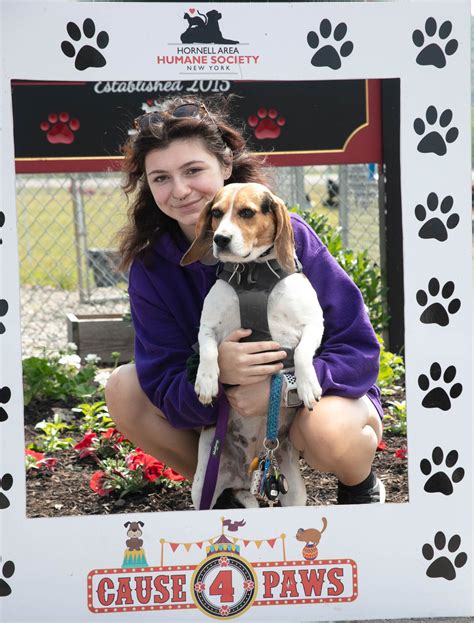 Hornell Humane Society "Cause for Paws" event is a big success: View ...