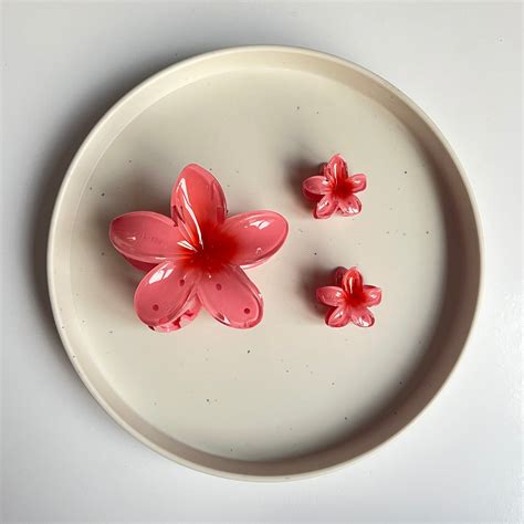 Ombre Bloom Hair Claw Set (3 Pcs) – NG Everyday