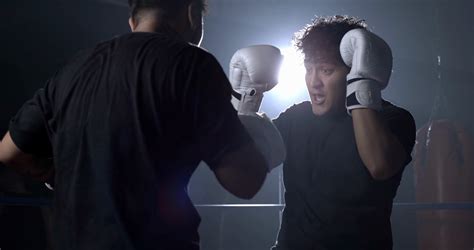 Boxing Stock Images 的图像结果
