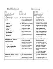 Critical Reflection Assignment 的图像结果