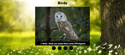 JavaScript for Kids 的图像结果