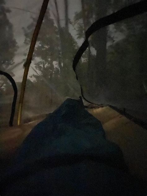 STINGRAY TRIBE CHEMBRA PEAK (Meppadi) - Campground Reviews & Photos ...