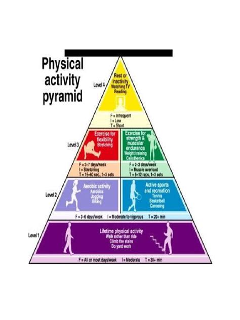Notes - The Physical Activity Pyramid | PDF | Physical Fitness | Aerobic Exercise