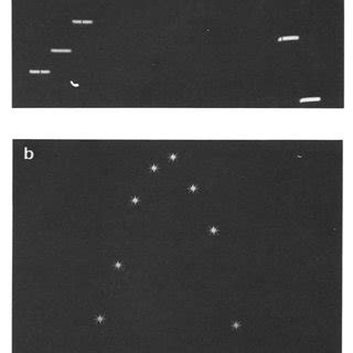 Image result for Linear Photodiode Array