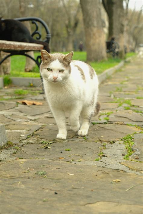 Jakipz+Ass Photos, Download The BEST Free Jakipz+Ass Stock Photos & HD Images