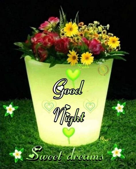 Jasmine Flower Good Night at Hudson Hugh blog