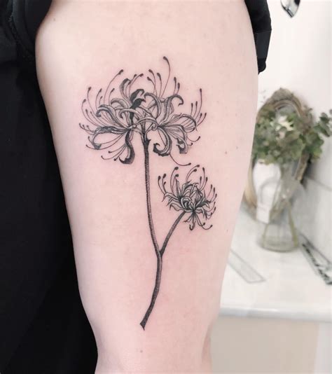 34 Spider Lily Tattoo Ideas to Inspire You in 2023 | Lily tattoo ...