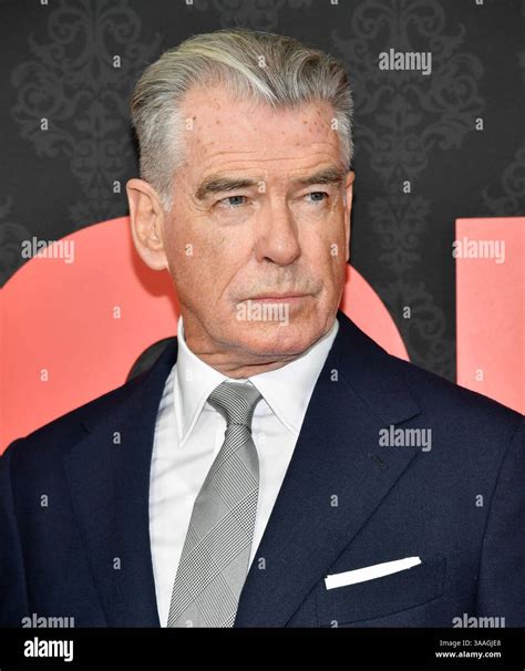 Pierce Brosnan attends the Paramount+ television series premiere of ...