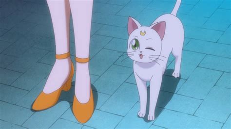Sailor Moon Crystal Act 8 – Artemis winking | Sailor Moon News