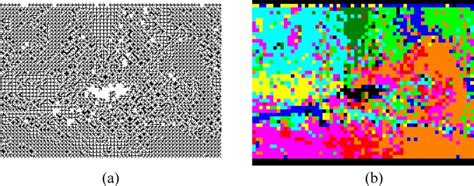Motion Map Examples 的图像结果