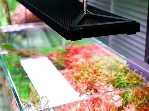 Aquarium Products India – Aquarium Products India