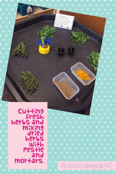 Image result for All About Spring EYFS
