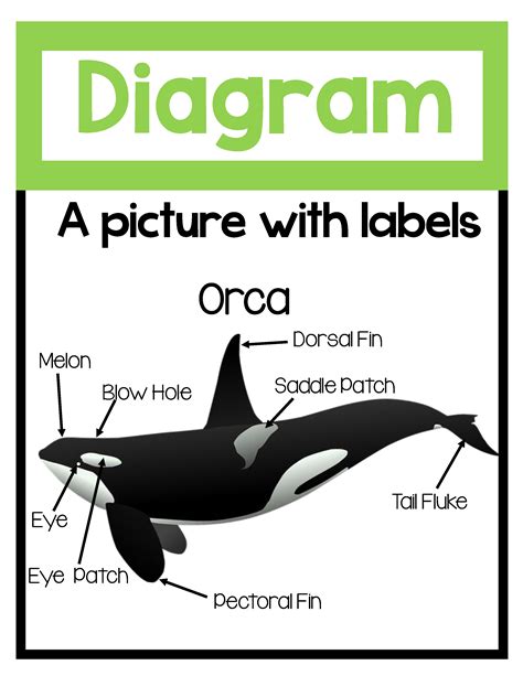 Image result for Examples of Text Features