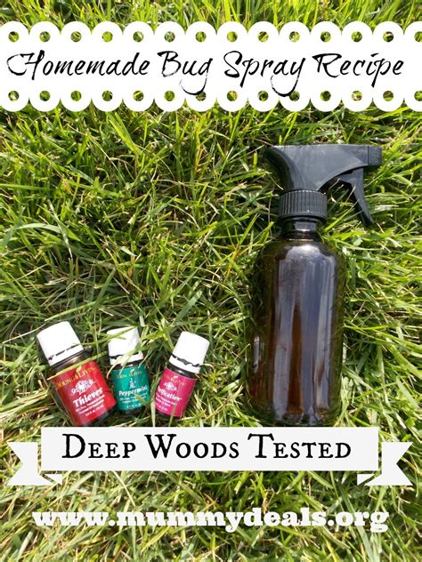 Homemade Bug Spray Recipe | Essential oils, Living essentials oils, Bug ...