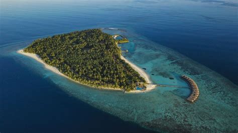 5 Days 4 Nights Filitheyo Island Resort Maldives Honeymoon Package ...