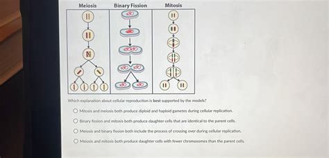 Solved: Mitosis s? Mitosis and meiosis both produce diploid and haploid ...