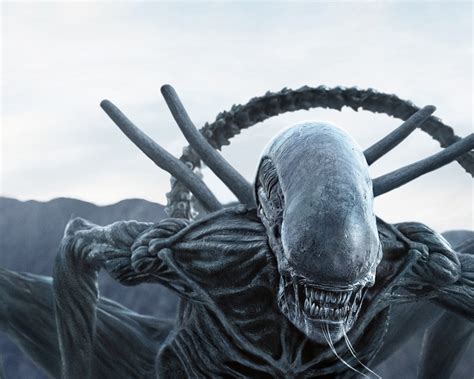 Image result for Alien Covenant Xenomorph Wallpaper