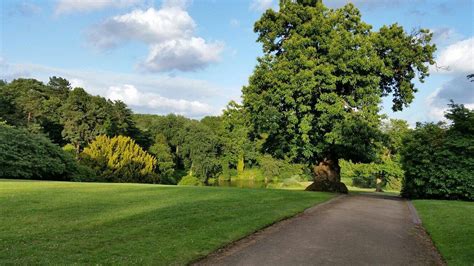 THE 5 BEST Newcastle-under-Lyme Non-Smoking Hotels 2026 (with Prices)