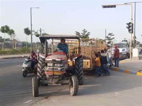 AMC vehicle stalls while trying to catch stray cattle on Sabarmati ...