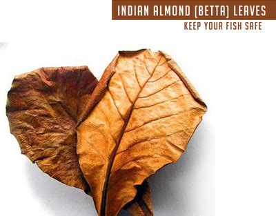 Jeev Rich Organic Fertilizer NPK & Micro Nutrients For Making 50 KG ...